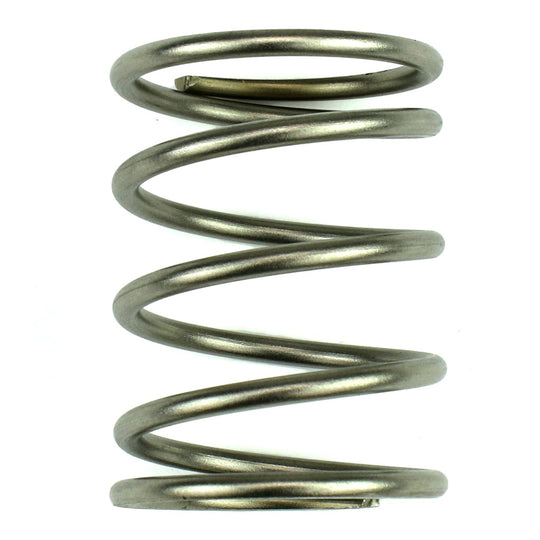Go Fast Bits 7psi Wastegate Spring - Universal