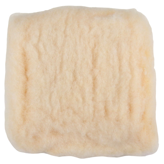 Chemical Guys Premium Extra Thick Wash Mitt and Pad - Universal