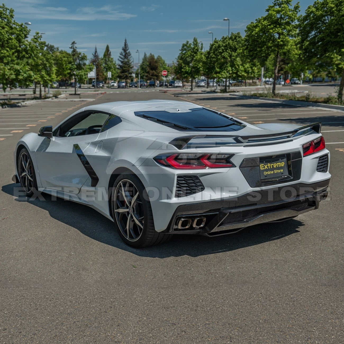 Corvette C8 DRY CARBON FIBER License Plate Backing