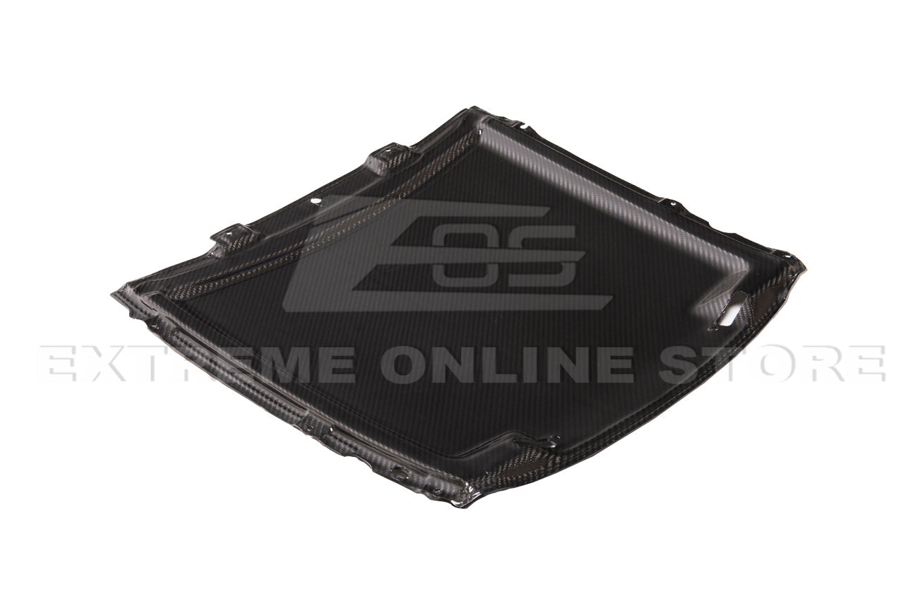 2020-23 Ford Mustang GT500 DRY Carbon Fiber Rain Tray Cover