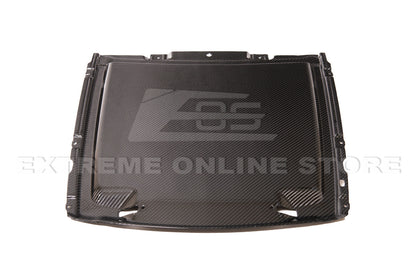 2020-23 Ford Mustang GT500 DRY Carbon Fiber Rain Tray Cover