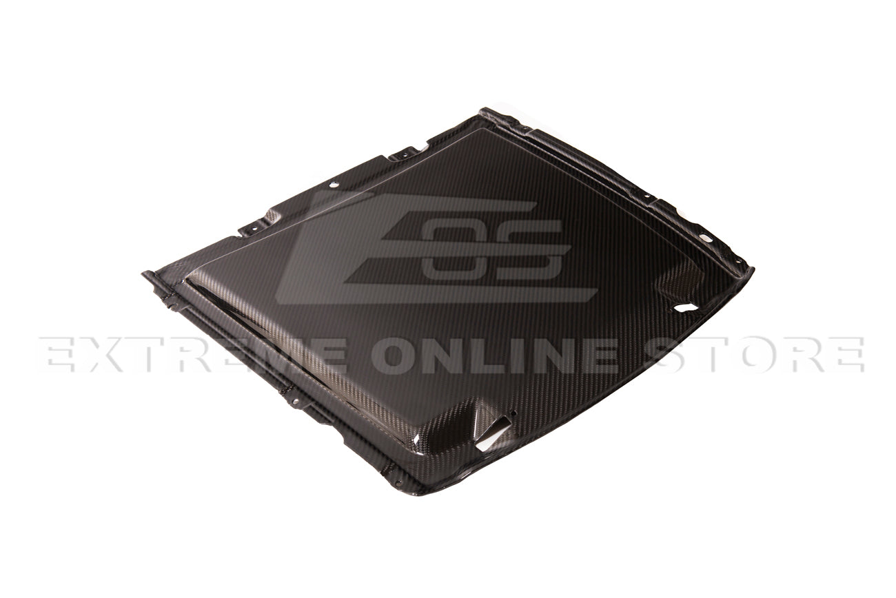 2020-23 Ford Mustang GT500 DRY Carbon Fiber Rain Tray Cover