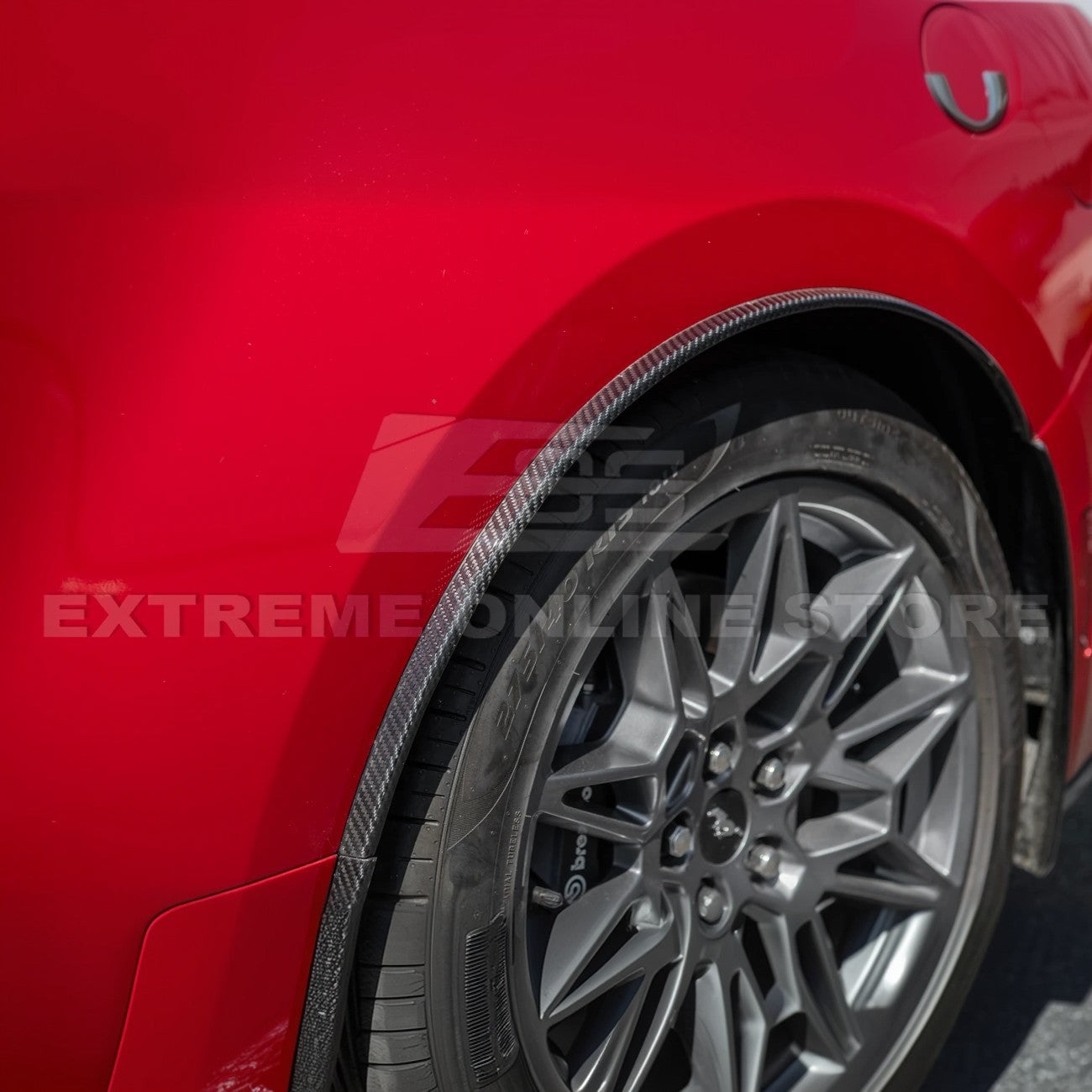 2024+ Ford Mustang DRY CARBON FIBER Fender Flares & Mud Flap