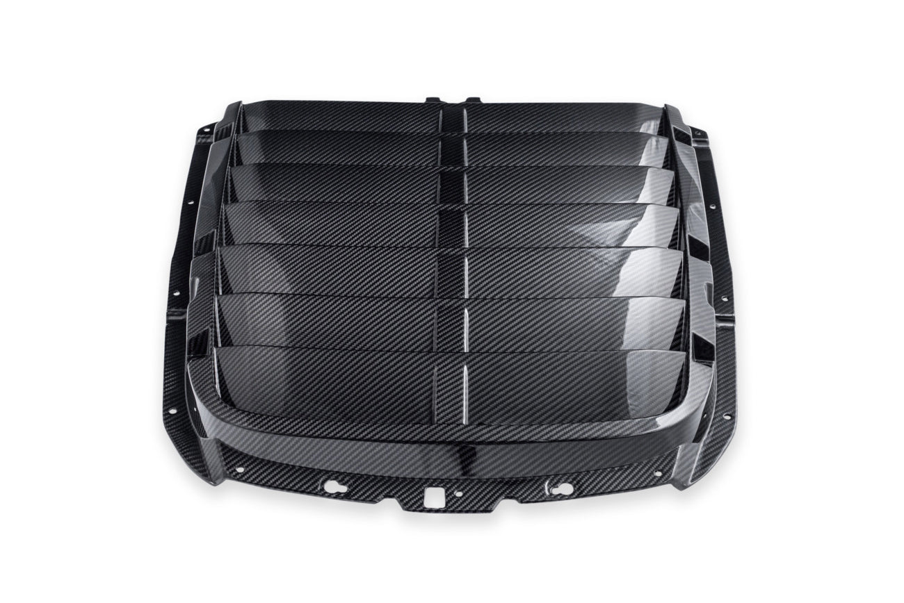 2020-23 Ford Mustang GT500 DRY Carbon Fiber Front Hood Vent & Rain Tray Cover