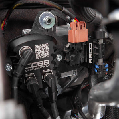 Cobb CAN Flex Fuel Upgrade - 2023-2026 Subaru Ascent / Outback XT & Wilderness / Legacy XT & Sport