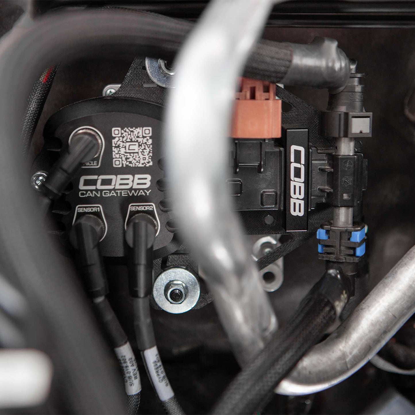 Cobb CAN Flex Fuel Upgrade - 2023-2026 Subaru Ascent / Outback XT & Wilderness / Legacy XT & Sport
