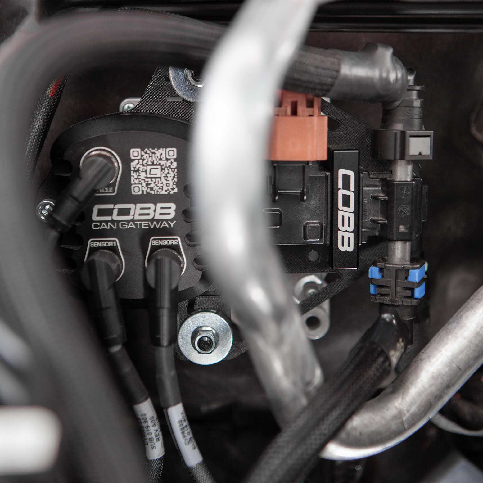 Cobb CAN Flex Fuel Upgrade - 2023-2026 Subaru Ascent / Outback XT & Wilderness / Legacy XT & Sport