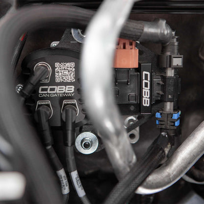 Cobb CAN Flex Fuel Upgrade - 2023-2026 Subaru Ascent / Outback XT & Wilderness / Legacy XT & Sport