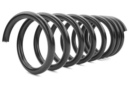 Eibach Pro-Kit Lowering Springs - 2014-2019 Ford Fiesta ST