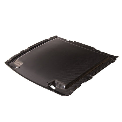 2020-23 Ford Mustang GT500 DRY Carbon Fiber Rain Tray Cover