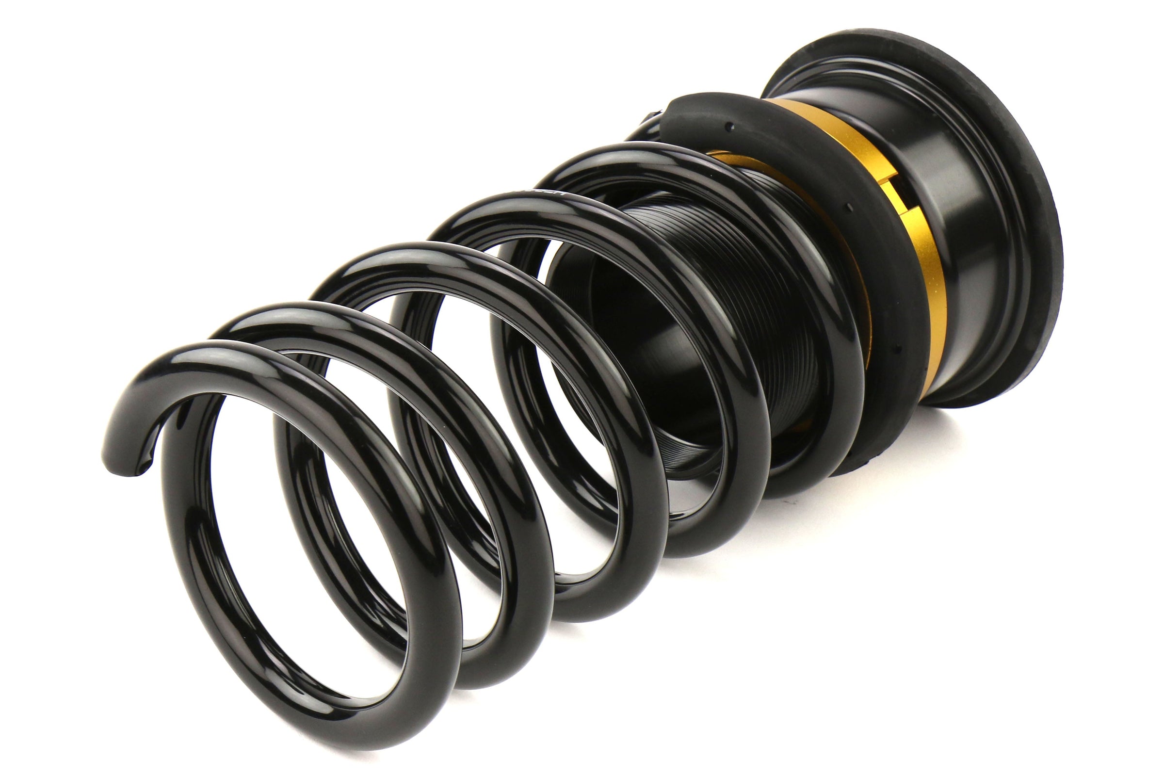 ISC Suspension N1 Street Sport Coilovers - 2013-2018 Ford Focus ST