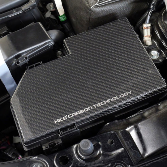 HKS DRY CARBON FUSE BOX COVER FL5