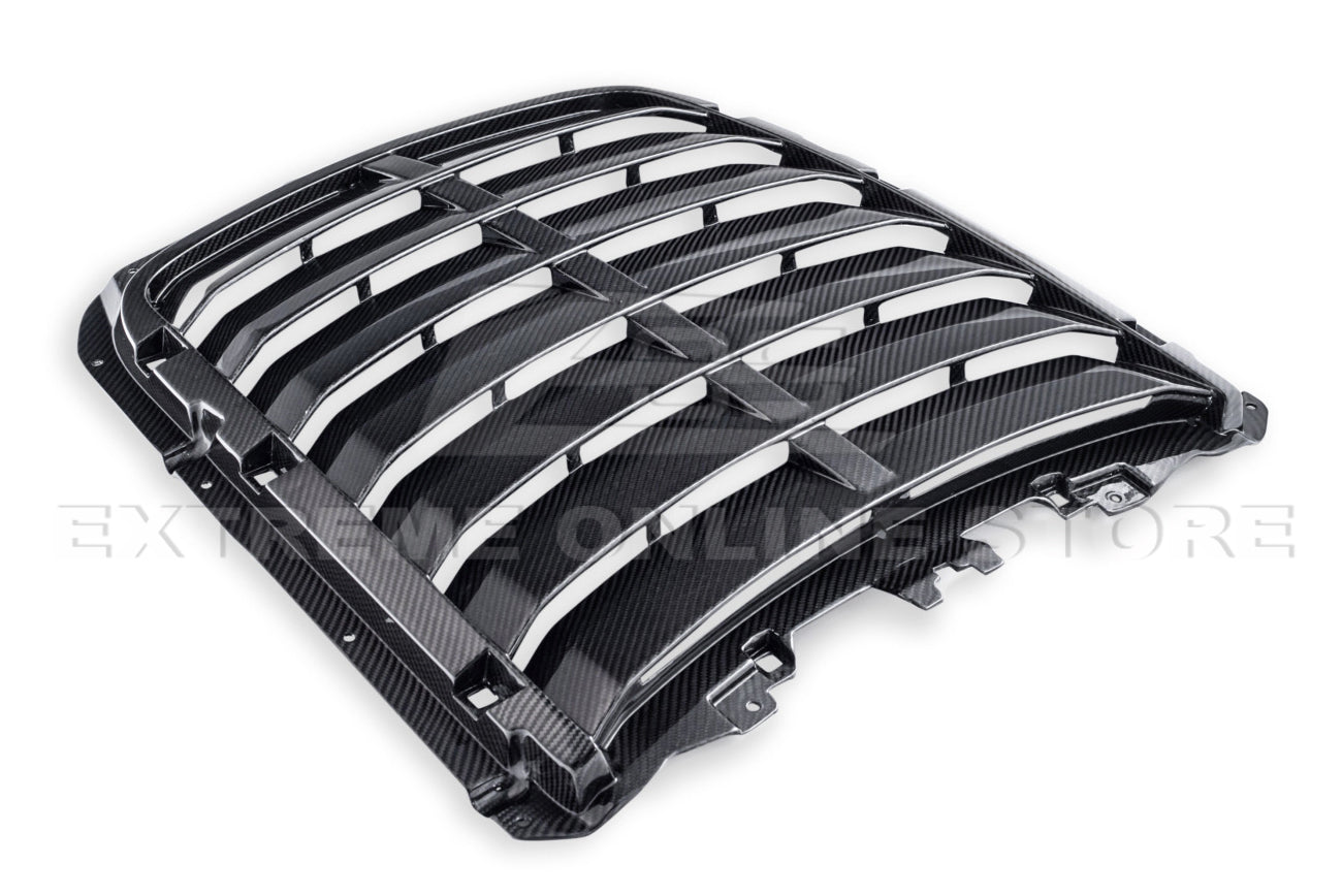 2020-23 Ford Mustang GT500 DRY Carbon Fiber Front Hood Vent & Rain Tray Cover