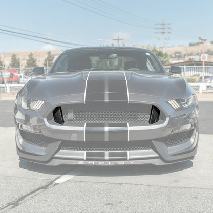 2015-20 Ford Mustang Shelby GT350 DRY Carbon Fiber Front Upper Grille Inserts Pair