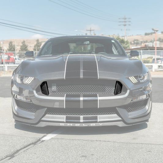 2015-20 Ford Mustang Shelby GT350 DRY Carbon Fiber Front Upper Grille Inserts Pair