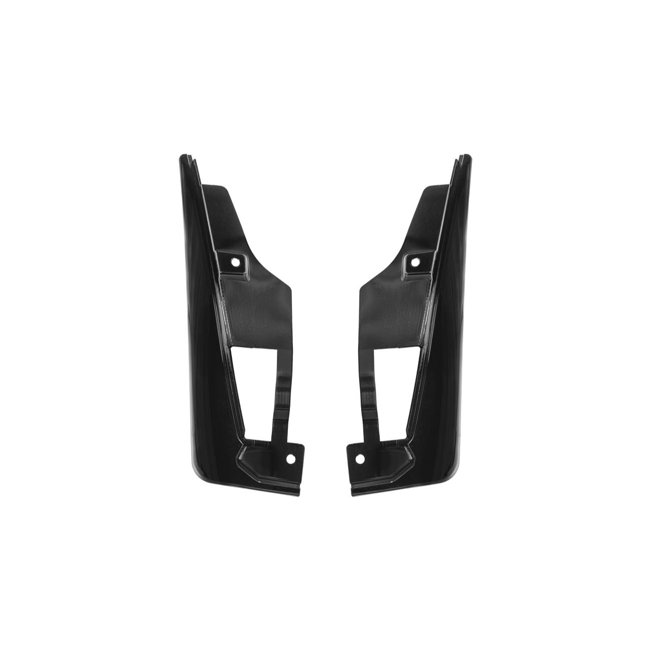 2024+ Ford Mustang Dry Carbon Fiber Mud Flap
