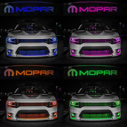 WindRestrictor® 2006-Up Dodge Charger Rear Add On Glow Plate