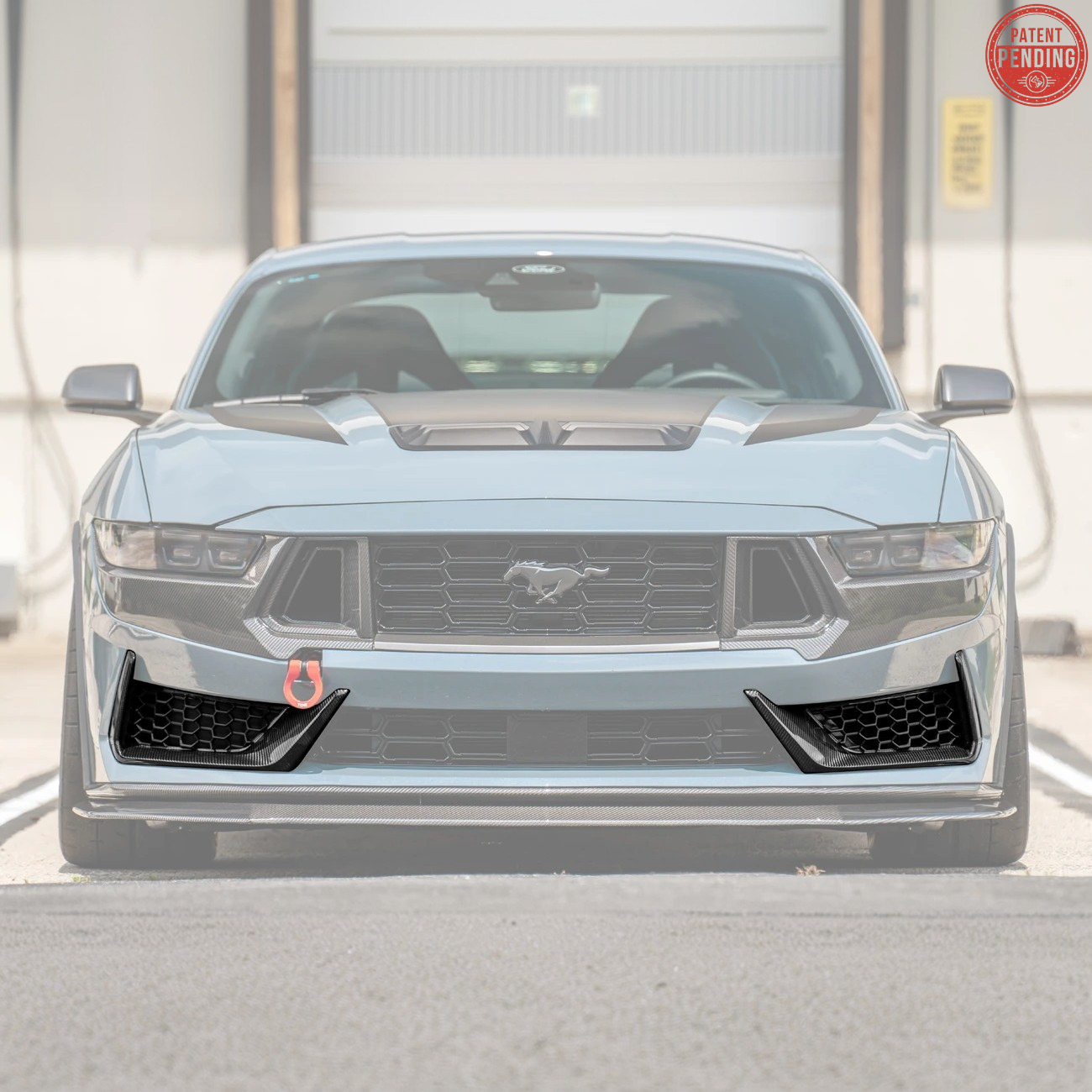 2024+ Ford Mustang Dark Horse DRY CARBON FIBER Front Grille Insert