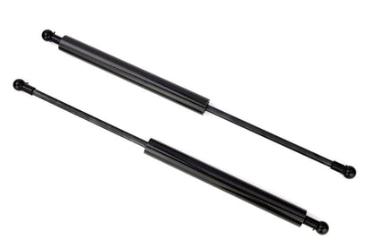 GReddy Carbon Fiber Hood Dampers - 2008-2015 Mitsubishi Evo X