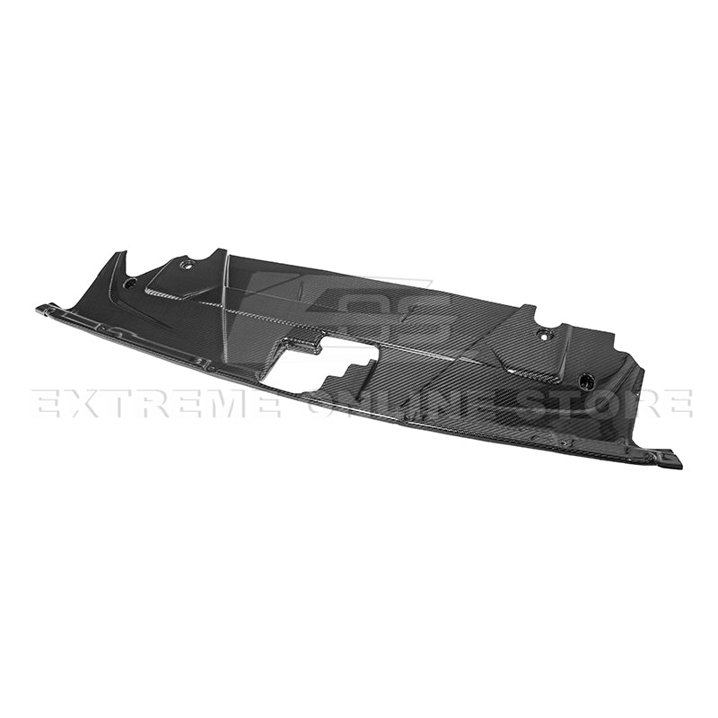 2024+ Ford Mustang DRY CARBON FIBER Radiator Cover