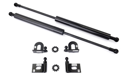 GReddy Carbon Fiber Hood Dampers - 2008-2015 Mitsubishi Evo X