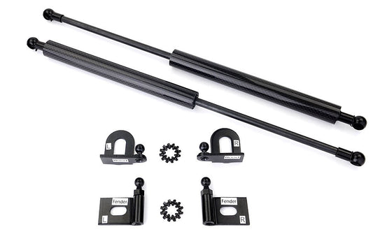 GReddy Carbon Fiber Hood Dampers - 2008-2015 Mitsubishi Evo X