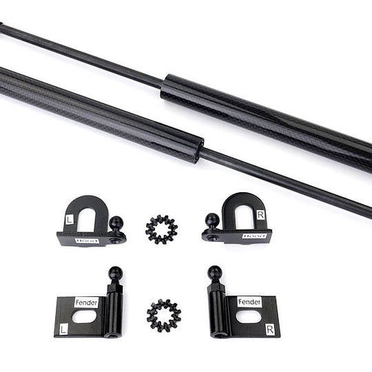 GReddy Carbon Fiber Hood Dampers - 2008-2015 Mitsubishi Evo X