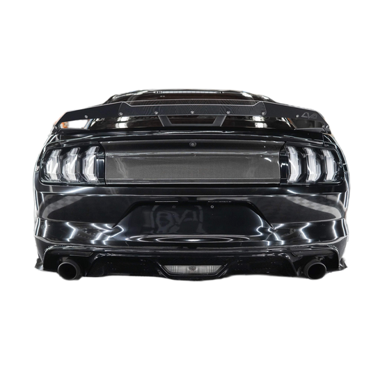 LVA 2018-2020 FORD MUSTANG GT "PERFORMANCE PACKAGE" WICKERBILL