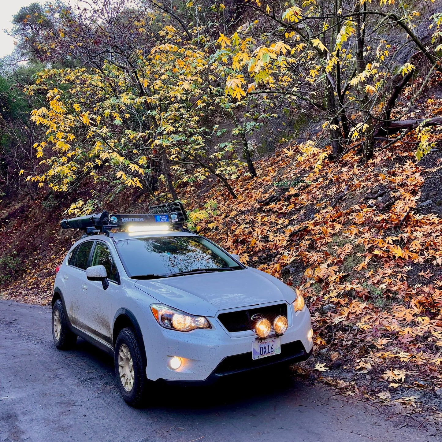 Flatout Suspension GR Lite Coilovers - 2013-2017 Subaru XV Crosstrek